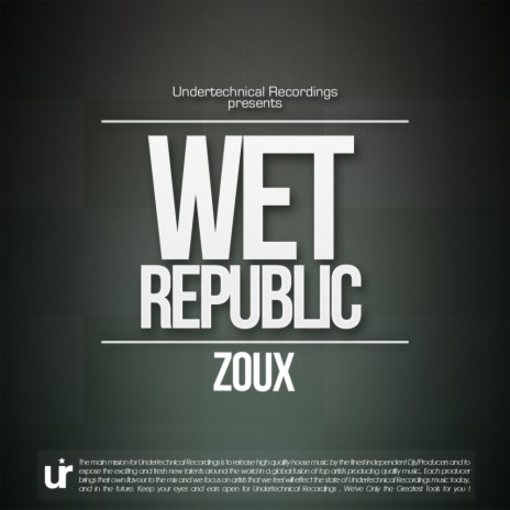 Wet Republic (Original Mix) | Boomplay Music