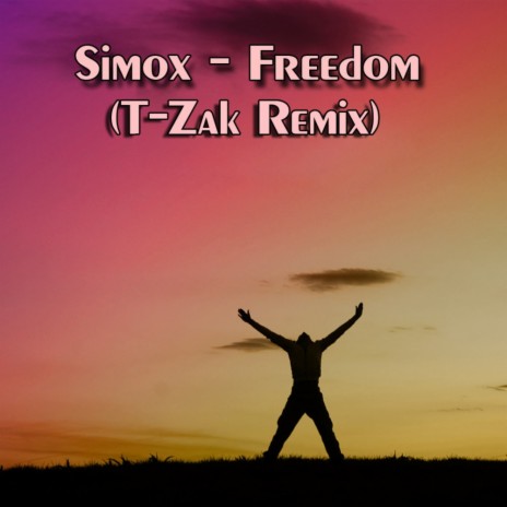 Freedom (T-Zak Remix) | Boomplay Music