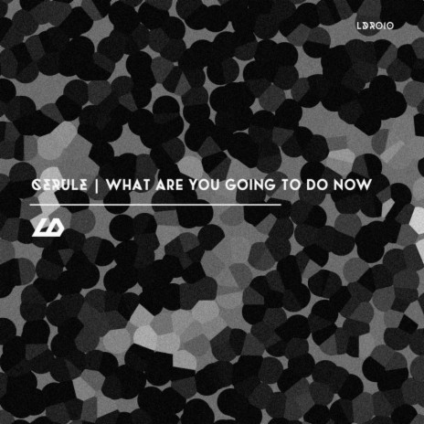 What Are You Going To Do Now (Original Mix) | Boomplay Music