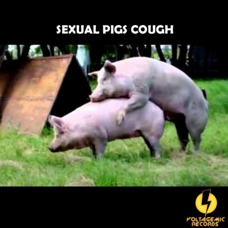 Sexual Pigs Cough (Original Mix)