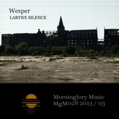 Larynx Silence Album Mix (Original Mix) | Boomplay Music