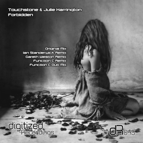 Forbidden (Function C Remix) ft. Julie Harrington | Boomplay Music