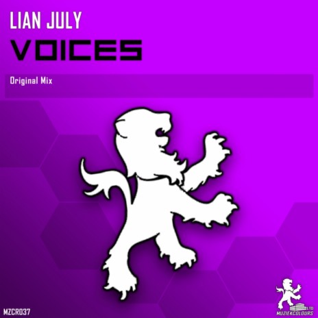 Voices (Original Mix) | Boomplay Music