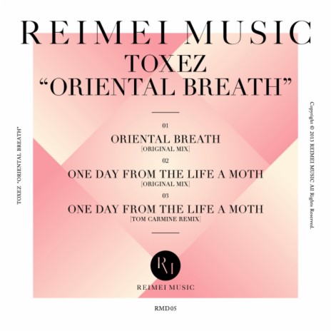 One Day From The Life A Moth (Original Mix)