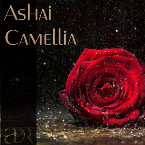 Camellia (Inito Remix) | Boomplay Music