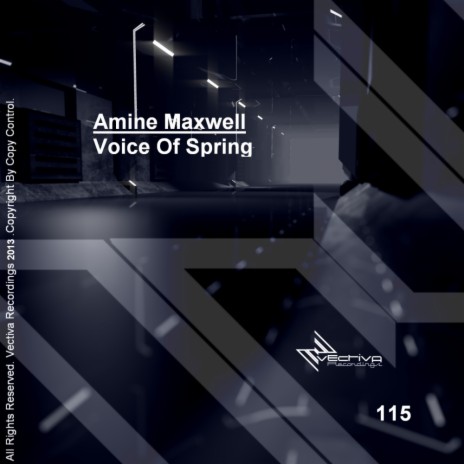 Voice Of Spring (Original Mix)