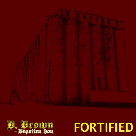 Fortified | Boomplay Music