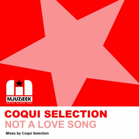 Not A Love Song (Original Mix)