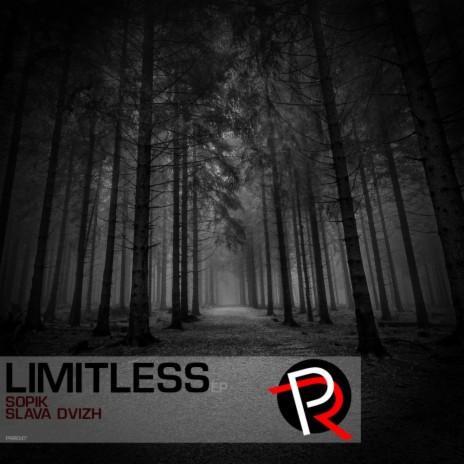 Limitless (Slava Dvizh Remix)