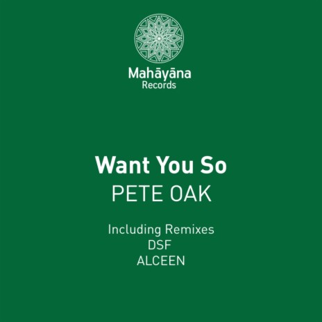 Want You So (Original Mix)