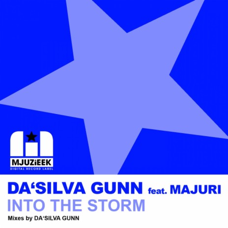 Into The Storm (Instrumental Mix) ft. Majuri | Boomplay Music