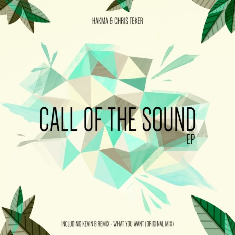 Call Of The Sound (Original Mix) ft. Chris Teker