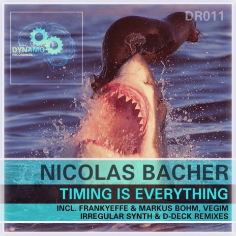 Timing Is Everything (Original Mix)