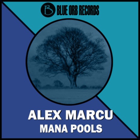 Mana Pools (Original Mix)