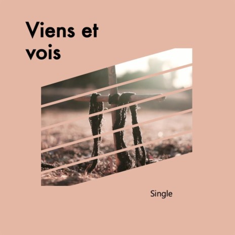 Viens et Vois | Boomplay Music