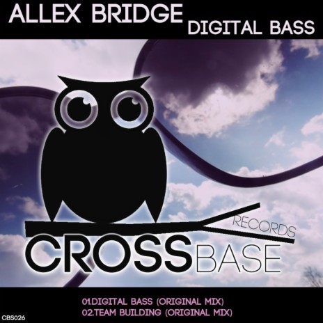 Digital Bass (Original Mix) | Boomplay Music