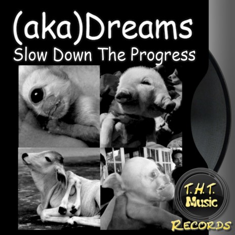 Slow Down The Progress (Original Mix)