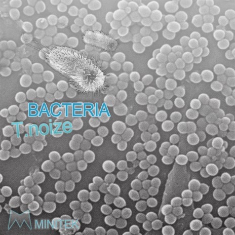 Bacteria (Original Mix) | Boomplay Music