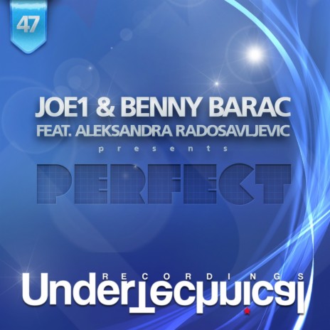 Perfect (Ponk Remix) ft. Benny Barac & Aleksandra Radosavljevic