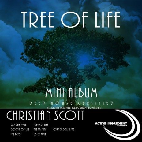 Tree Of Life (Original Mix)