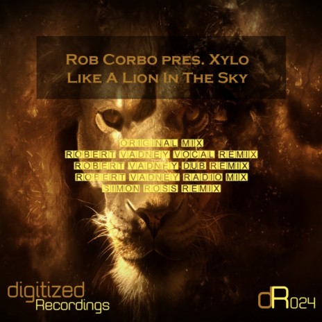 Like A Lion In The Sky (Robert Vadney Radio Mix) | Boomplay Music