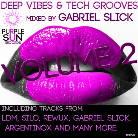Deep Vibes & Tech Grooves Vol. 2 (Original Mix) | Boomplay Music