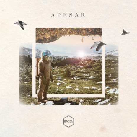 Apesar ft. Paulo Nazareth | Boomplay Music