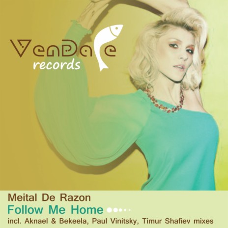 Follow Me Home (Paul Vinitsky Radio Edit) | Boomplay Music