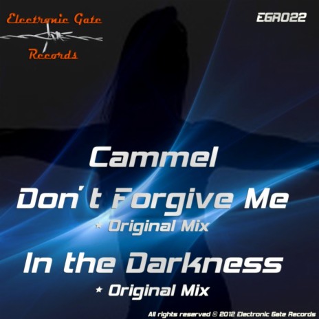 Don't Forgive Me (Original Mix)