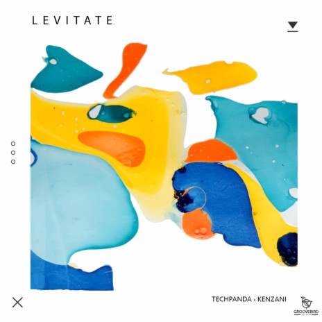 Levitate ft. Kenzani | Boomplay Music