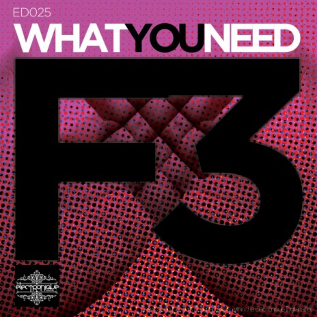 What You Need (Downtown Party Network Remix)