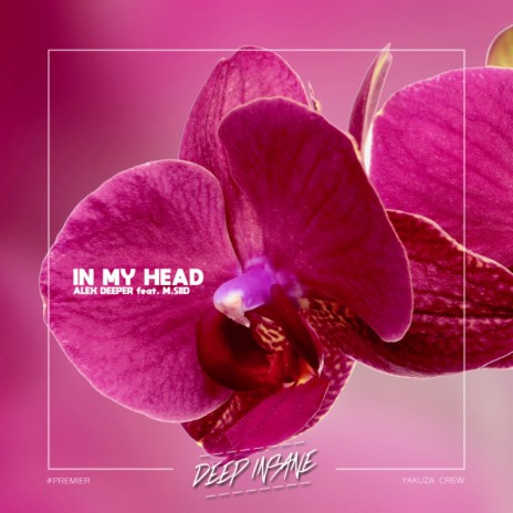 In My Head (Original Mix) ft. M.SIID | Boomplay Music