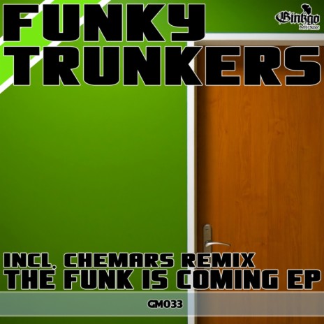 The Funk Is Coming (Original Mix)