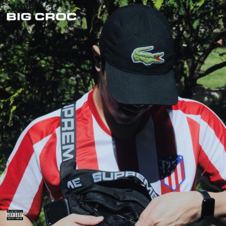 Big Croc | Boomplay Music