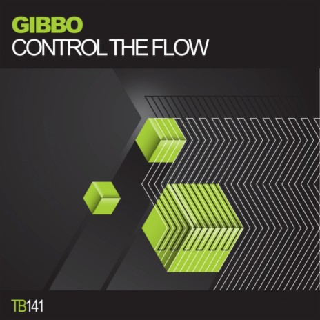 Control The Flow (Original Mix)