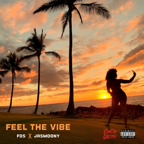 Feel The Vibe | Boomplay Music