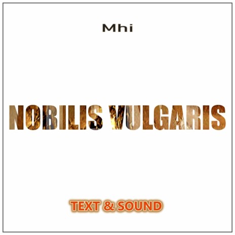 Text & Sound: Mhi | Boomplay Music