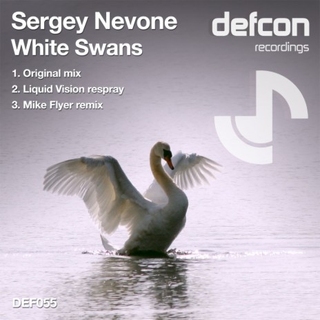White Swans (Mike Flyer Remix) | Boomplay Music