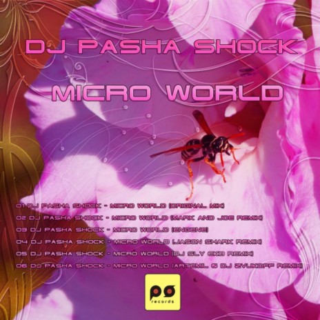 Micro World (Artemil & Dj Zvukoff Remix) | Boomplay Music