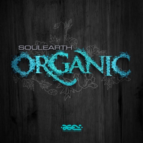Organic (Original Mix) | Boomplay Music