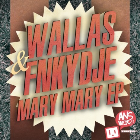 Mary Mary (Original Mix) ft. Fnkydje