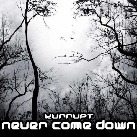 Never Coming Down (Original Mix)