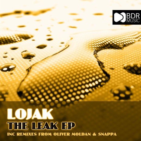 The Leak (Oliver Moldan Remix)