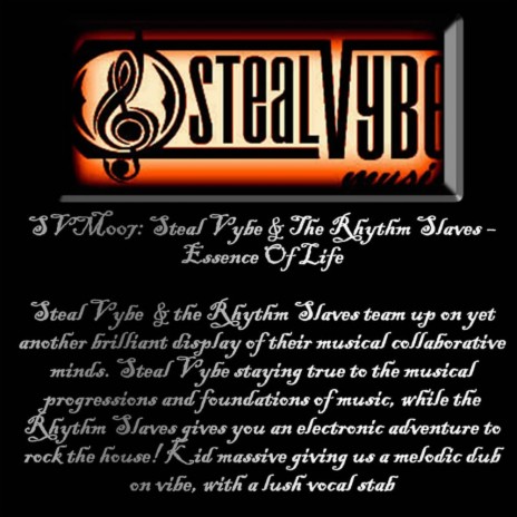 Essence Of Life (Steal Vybe Instrumental Mix) ft. The Rhythm Slaves