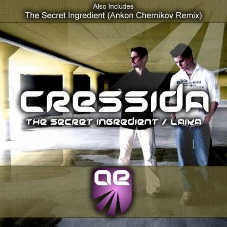 The Secret Ingredient (Anton Chernikov Remix) | Boomplay Music