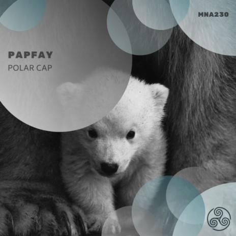 Polar Cap (Original Mix) | Boomplay Music