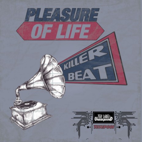 Pleasure Of Life (Original Mix)