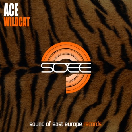 WildCat (Original Mix)