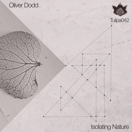 Isolating Nature (Original Mix) | Boomplay Music