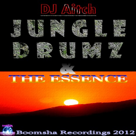 Jungle Drumz (Original Mix)